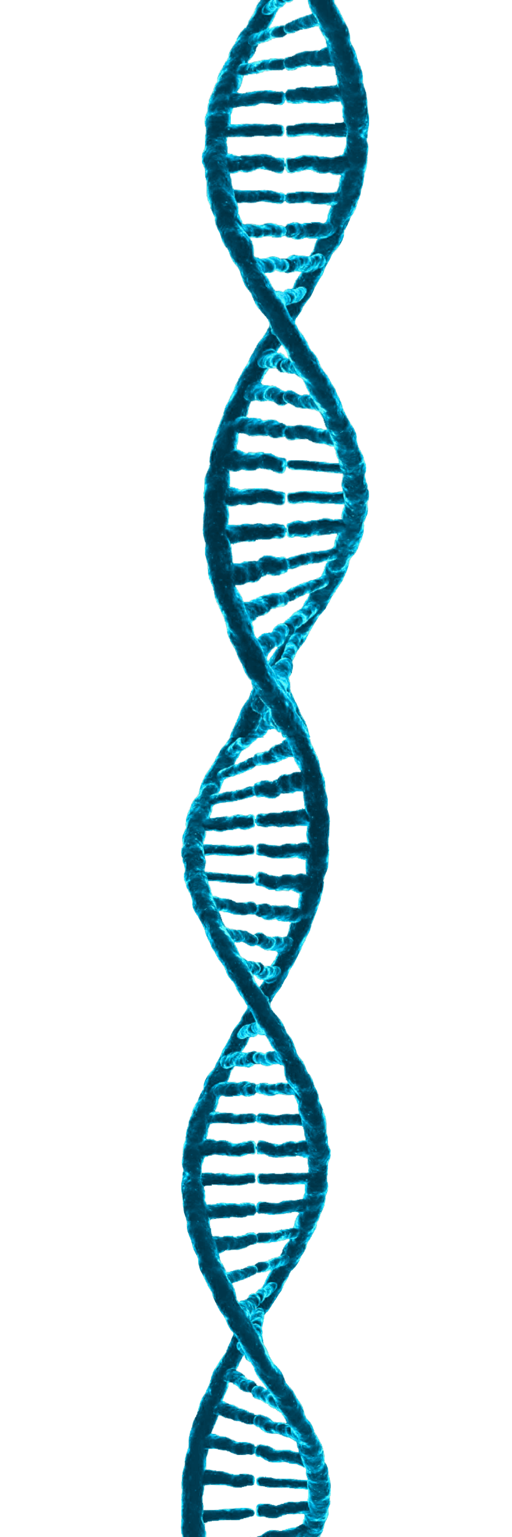 DNA